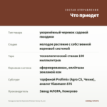 Гвоздика Sprint Specials Peman Fancy (0,1л) — что приедет