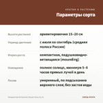 Гвоздика Sprint Specials Peman Fancy (0,1л) — параметры сорта