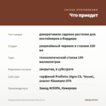Гвоздика Sprint Specials Peman Fancy (0,1л) — что приедет