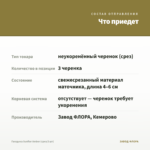 Гвоздика Sunflor Amber (срез/3 шт) — что приедет
