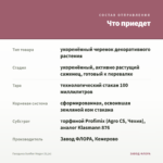 Гвоздика Sunflor Megan (0,1л) — что приедет