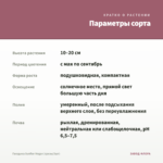 Гвоздика Sunflor Megan (срезы/3шт) — параметры сорта