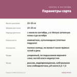 Гвоздика Sunflor Red Esta (0,1л) — параметры сорта