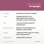 Гвоздика Sunflor Red Esta (0,1л) — что приедет
