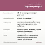 Гвоздика Sunflor Red Esta (срезы/3шт) — параметры сорта