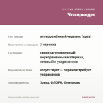 Гвоздика Sunflor Red Esta (срезы/3шт) — что приедет