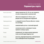 Гвоздика Sunflor Surprise Pink (0,1л) — параметры сорта