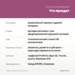 Гвоздика Sunflor Surprise Pink (0,1л) — что приедет
