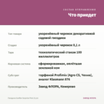 Гвоздика Sunflor Surprise Pink (0,1л) — что приедет