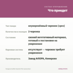 Гвоздика Sunflor Surprise Pink (срезы/3шт) — что приедет