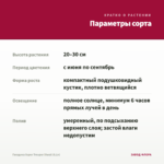 Гвоздика Super Trouper Diwali (0,1л) — параметры сорта