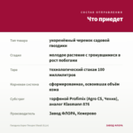 Гвоздика Super Trouper Diwali (0,1л) — что приедет