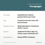 Гвоздика Super Trouper Elise (0,1л) — что приедет