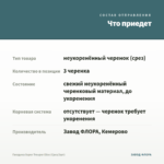 Гвоздика Super Trouper Elise (Срез/3шт) — что приедет