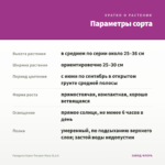Гвоздика Super Trouper Macy (0,1л) — параметры сорта