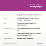 Гвоздика Super Trouper Macy (0,1л) — что приедет
