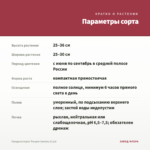 Гвоздика Super Trouper Sammy (0,1л) — параметры сорта