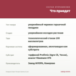 Гвоздика Super Trouper Sammy (0,1л) — что приедет
