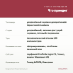Гвоздика Super Trouper Sammy (0,1л) — что приедет