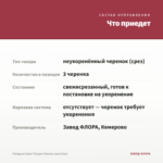 Гвоздика Super Trouper Sammy (срез/3шт) — что приедет