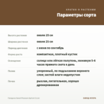 Гвоздика Sweet Pleasure Apricot (0,1л) — параметры сорта