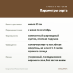 Гвоздика Sweet Pleasure Apricot (0,1л) — параметры сорта
