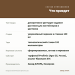 Гвоздика Sweet Pleasure Apricot (0,1л) — что приедет