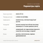 Гвоздика Sweet Pleasure Apricot (срез/3шт) — параметры сорта