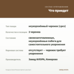 Гвоздика Sweet Pleasure Apricot (срез/3шт) — что приедет