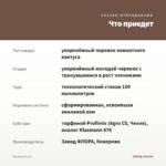 Хатиора (0,1л) — что приедет