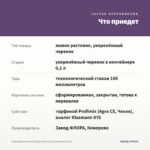 Хебе Вариегатный (Вероника кустарниковая) 0,1л — что приедет
