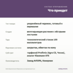 Хебе Вариегатный (Вероника кустарниковая) 0,1л — что приедет
