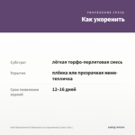 Хебе Вариегатный (Вероника кустарниковая) (срез/ 3шт.) — как укоренить черенок