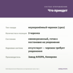 Хебе Вариегатный (Вероника кустарниковая) (срез/ 3шт.) — что приедет