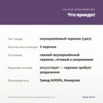 Хебе Вариегатный (Вероника кустарниковая) (срез/ 3шт.) — что приедет