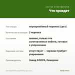 Хебе (Вероника кустарниковая) (срез/ 3шт.) — что приедет