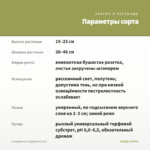 Хлорофитум Кудрявый (0,2л) — параметры сорта
