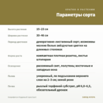 Хлорофитум Кудрявый (срез/1шт) — параметры сорта