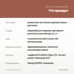 Хлорофитум Океан (0,1л) — что приедет