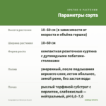 Хлорофитум Витатум (0,1л) — параметры сорта