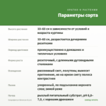 Хлорофитум Витатум (0,1л) — параметры сорта