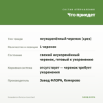 Хлорофитум Витатум (срез/1шт) — что приедет