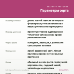 Хойя Карноза Публикалис (срез/2 узла) — параметры сорта