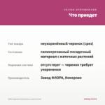 Хойя Карноза Публикалис (срез/2 узла) — что приедет
