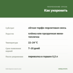 Хойя Карноза (срез/2 узла) — как укоренить черенок