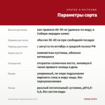 Хризантема Червона Калина (0,1л) — параметры сорта