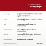 Хризантема Червона Калина (0,1л) — что приедет