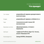 Хризантема корейская Белая (0,1л) — что приедет
