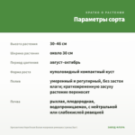 Хризантема Корейская Белая махровая ромашка (срезы/3шт) — параметры сорта