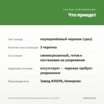 Хризантема Корейская Белая махровая ромашка (срезы/3шт) — что приедет